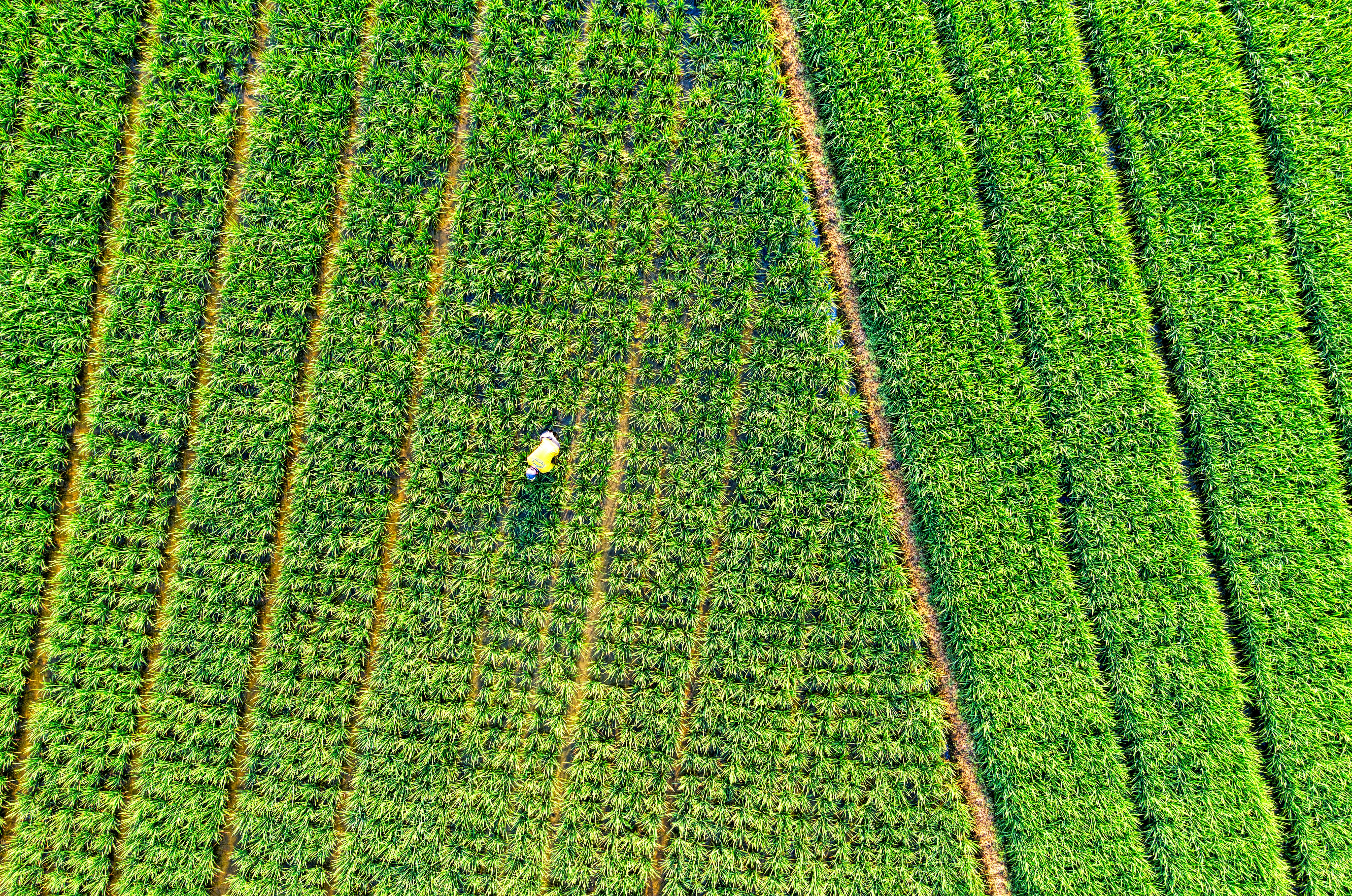 Agritech Solutions
